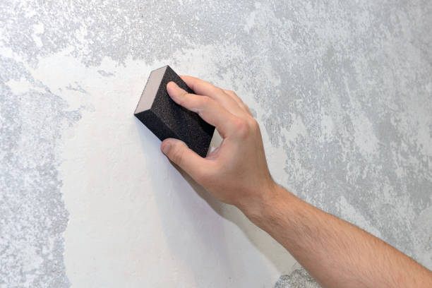 Mold Remediation for Vacation Homes in De Graff, OH