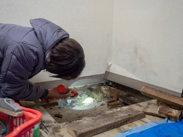 Best Water Damage & Mold Remediation  in De Graff, OH