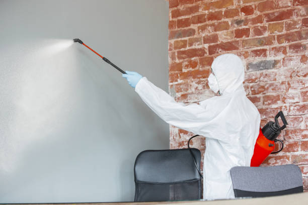 Best Mold-Related Health Consultation  in De Graff, OH