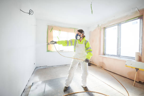 Best Asbestos and Lead Testing During Mold Inspection  in De Graff, OH