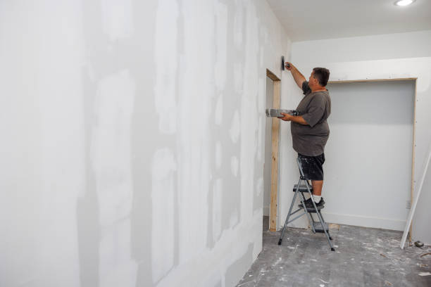 Best Mold Prevention Services  in De Graff, OH