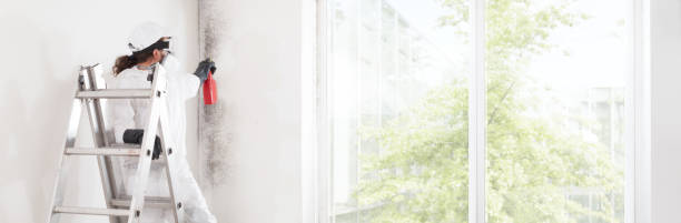 Best Comprehensive Air Testing for Mold Contaminants  in De Graff, OH