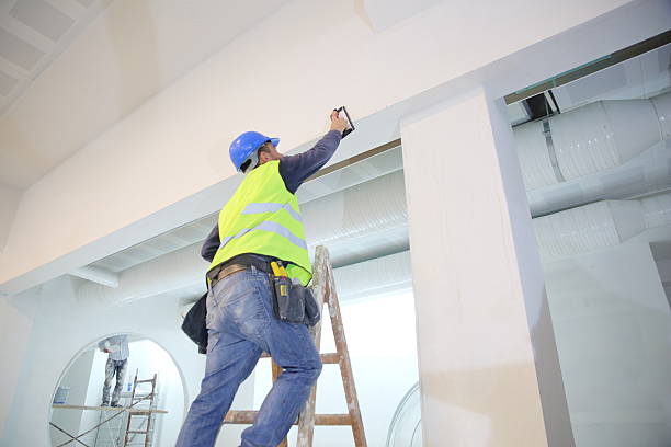 Reliable De Graff, OH Mold Removal Solutions