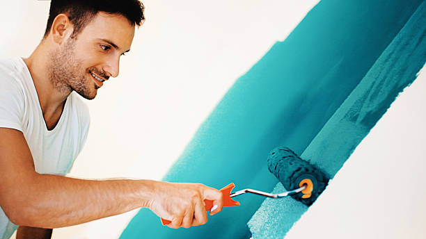  De Graff, OH Mold Removal Pros